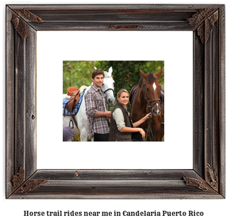 horse trail rides near me in Candelaria, Puerto Rico